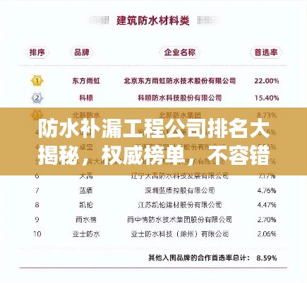 防水补漏工程公司排名大揭秘，权威榜单，不容错过！