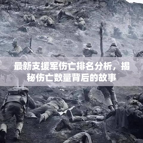最新支援军伤亡排名分析，揭秘伤亡数量背后的故事