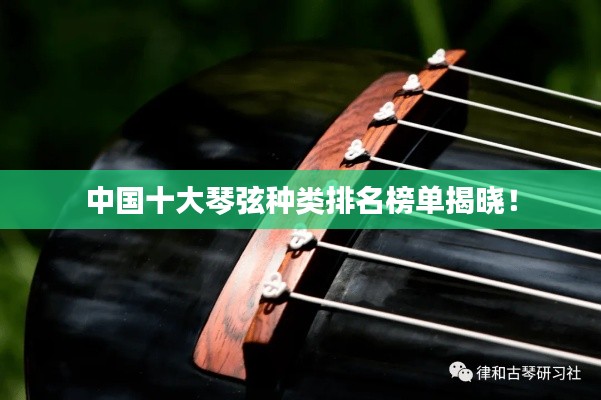 中国十大琴弦种类排名榜单揭晓！