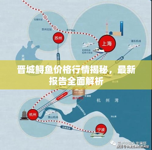 晋城鲟鱼价格行情揭秘，最新报告全面解析