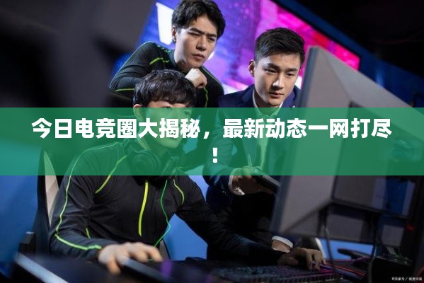 今日电竞圈大揭秘，最新动态一网打尽！
