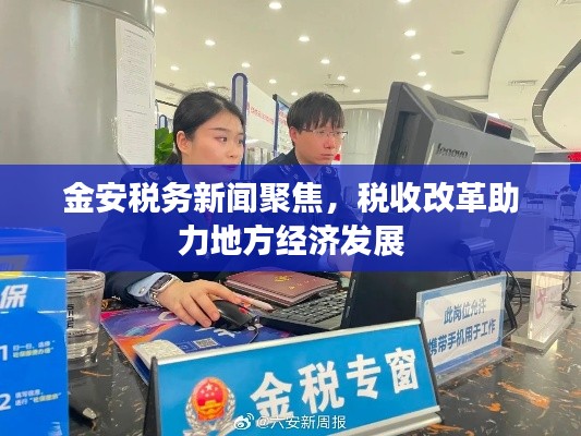 金安税务新闻聚焦，税收改革助力地方经济发展