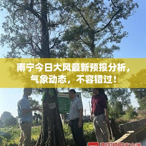 南宁今日大风最新预报分析，气象动态，不容错过！