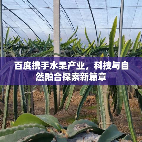 百度携手水果产业，科技与自然融合探索新篇章