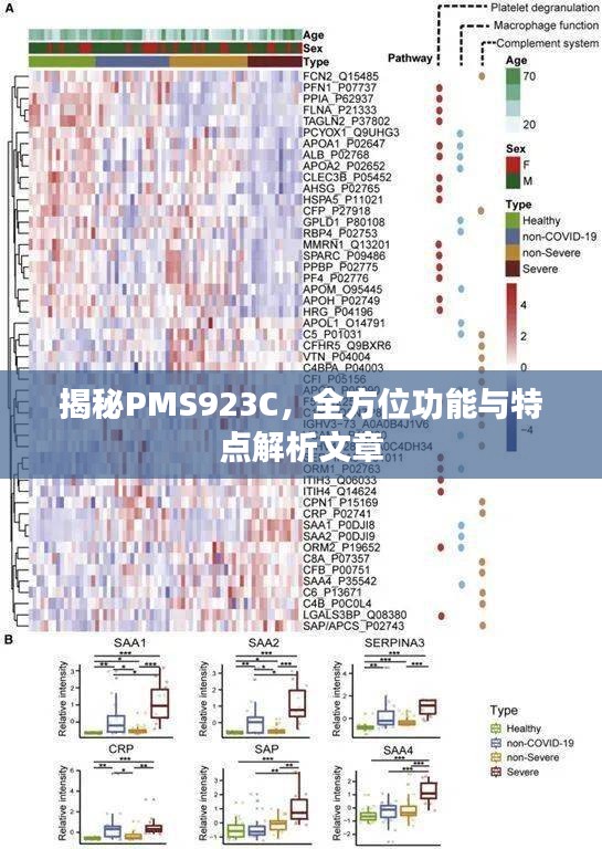 揭秘PMS923C，全方位功能与特点解析文章