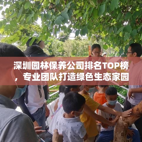 深圳园林保养公司排名TOP榜，专业团队打造绿色生态家园！