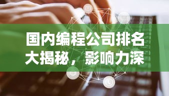 国内编程公司排名大揭秘，影响力深度解析！