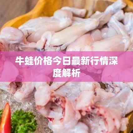 牛蛙价格今日最新行情深度解析