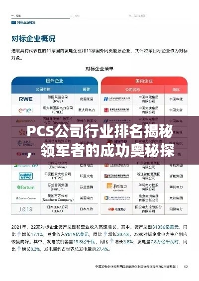 PCS公司行业排名揭秘，领军者的成功奥秘探索