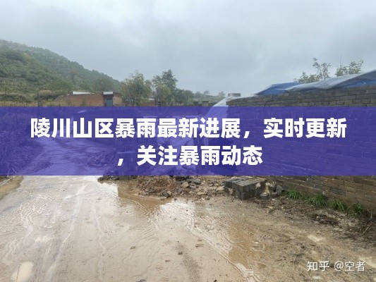 陵川山区暴雨最新进展，实时更新，关注暴雨动态