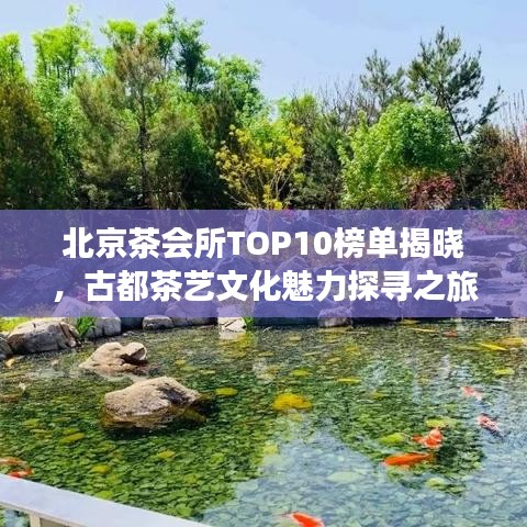 北京茶会所TOP10榜单揭晓，古都茶艺文化魅力探寻之旅