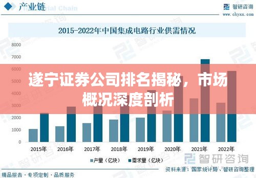 遂宁证券公司排名揭秘，市场概况深度剖析