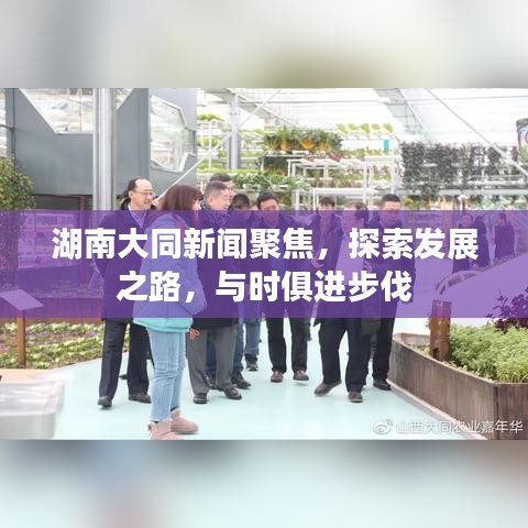 湖南大同新闻聚焦，探索发展之路，与时俱进步伐