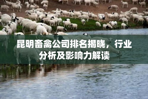 昆明畜禽公司排名揭晓，行业分析及影响力解读