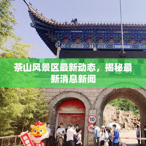 茶山风景区最新动态，揭秘最新消息新闻