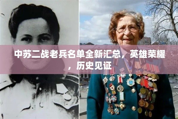 中苏二战老兵名单全新汇总，英雄荣耀，历史见证