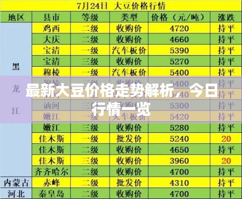 最新大豆价格走势解析，今日行情一览
