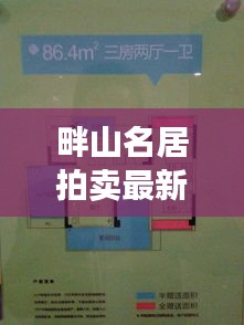 畔山名居拍卖最新动态速递