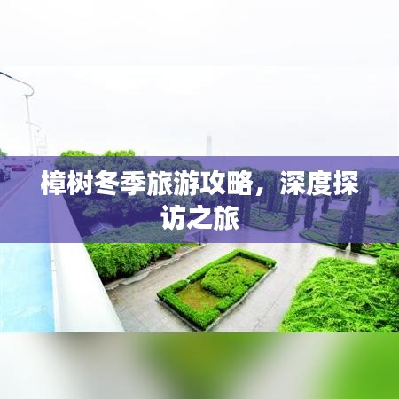 樟树冬季旅游攻略，深度探访之旅