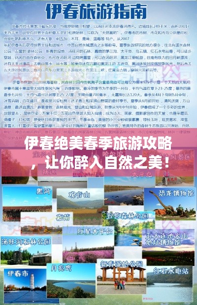伊春绝美春季旅游攻略，让你醉入自然之美！