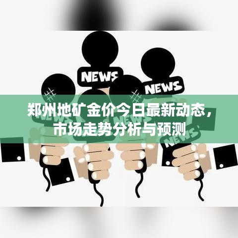 郑州地矿金价今日最新动态，市场走势分析与预测