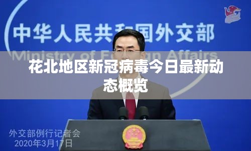 花北地区新冠病毒今日最新动态概览