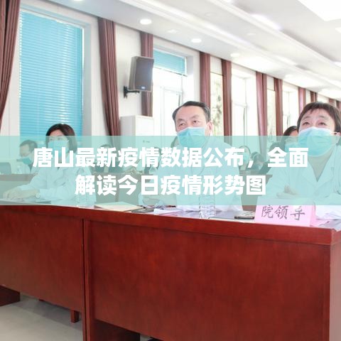 唐山最新疫情数据公布，全面解读今日疫情形势图