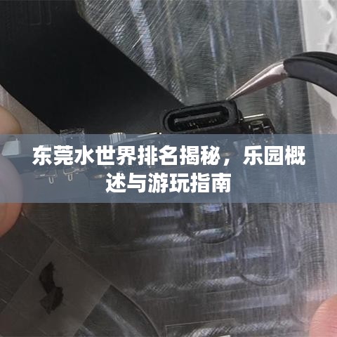 东莞水世界排名揭秘，乐园概述与游玩指南