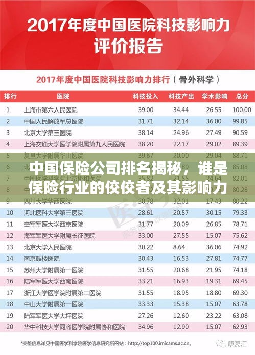 中国保险公司排名揭秘，谁是保险行业的佼佼者及其影响力解析