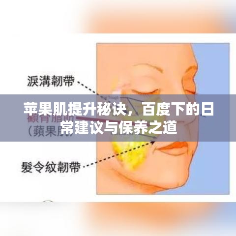 苹果肌提升秘诀，百度下的日常建议与保养之道