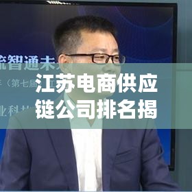 江苏电商供应链公司排名揭秘，影响力深度解析