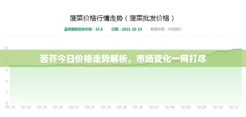 苦芥今日价格走势解析，市场变化一网打尽