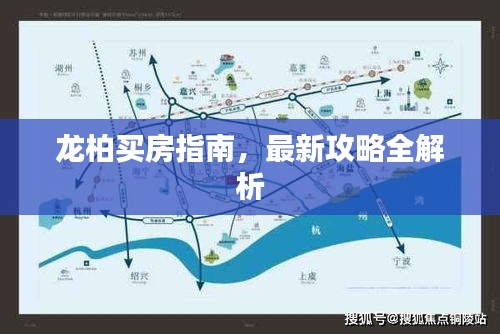 龙柏买房指南，最新攻略全解析