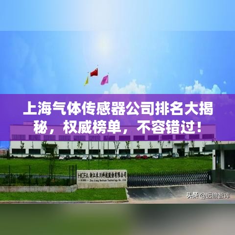 上海气体传感器公司排名大揭秘，权威榜单，不容错过！