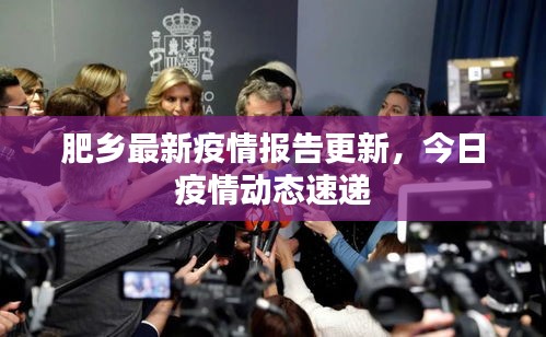 肥乡最新疫情报告更新，今日疫情动态速递