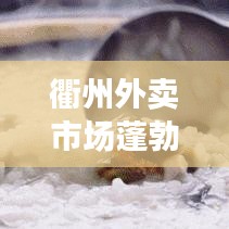 衢州外卖市场蓬勃发展，餐饮外卖新闻头条速递