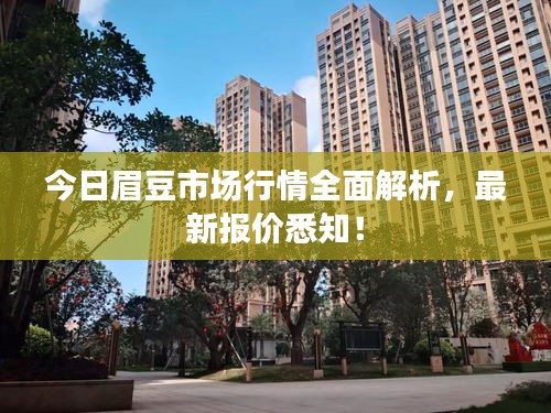 今日眉豆市场行情全面解析，最新报价悉知！