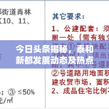 今日头条揭秘，泰和新都发展动态及热点解析