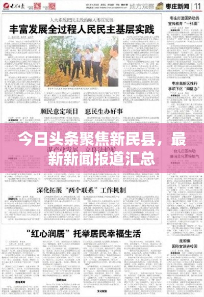 今日头条聚焦新民县，最新新闻报道汇总