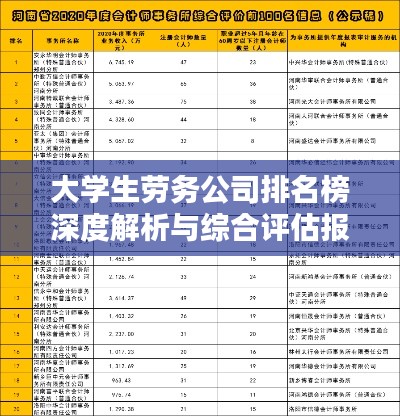 大学生劳务公司排名榜深度解析与综合评估报告！