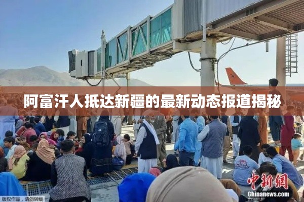 阿富汗人抵达新疆的最新动态报道揭秘