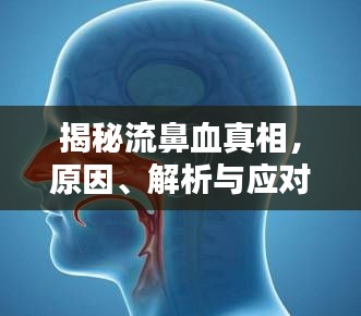 揭秘流鼻血真相，原因、解析与应对方法——百度知识分享