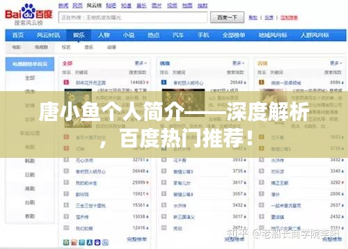 唐小鱼个人简介——深度解析，百度热门推荐！