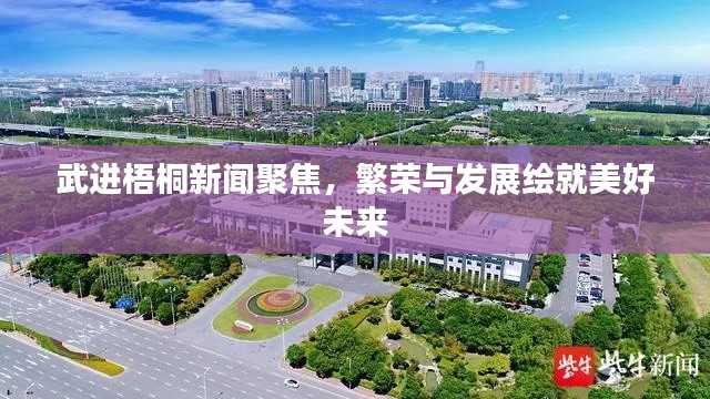武进梧桐新闻聚焦，繁荣与发展绘就美好未来