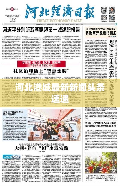 河北港城最新新闻头条速递