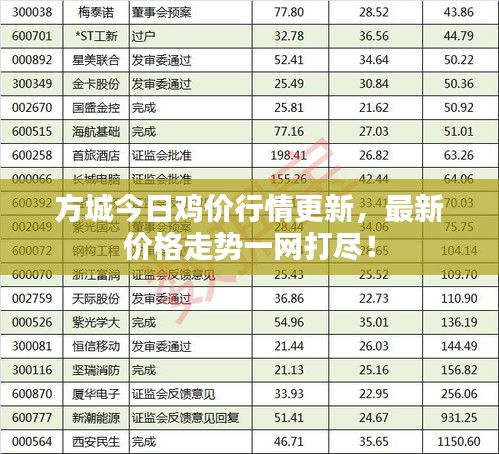 方城今日鸡价行情更新，最新价格走势一网打尽！