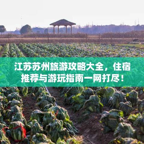 江苏苏州旅游攻略大全，住宿推荐与游玩指南一网打尽！