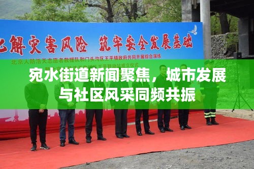 宛水街道新闻聚焦，城市发展与社区风采同频共振