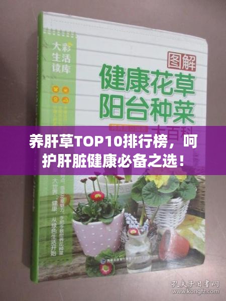 养肝草TOP10排行榜，呵护肝脏健康必备之选！