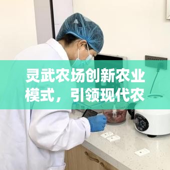 灵武农场创新农业模式，引领现代农业蓬勃发展新闻头条